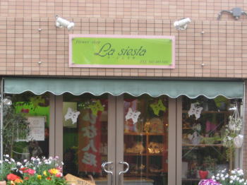 �X�܏o������ǖʃv���[�g�Ŕ� ���E�V�G�X�^